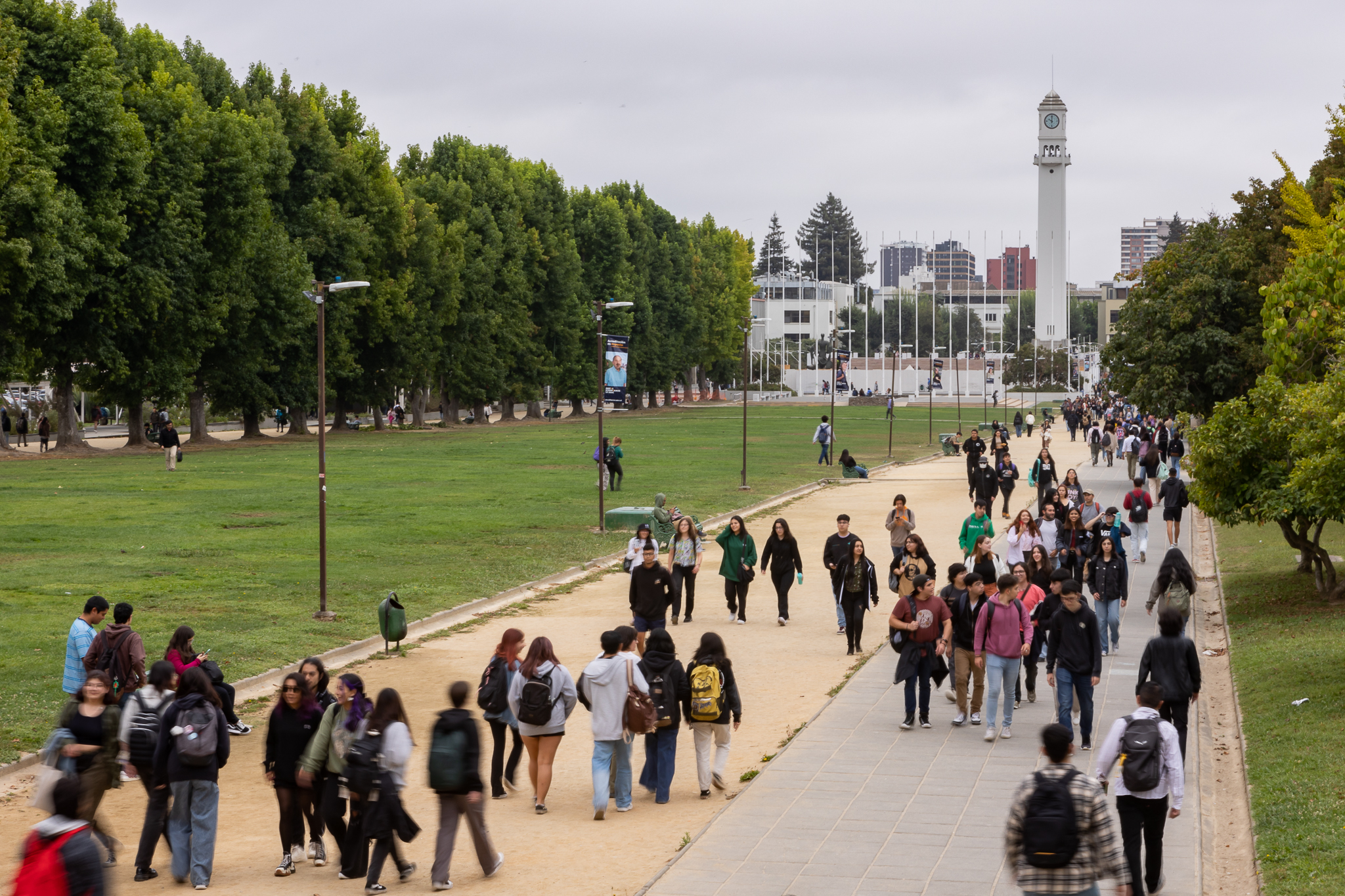 Estudiantes universitarios participando en un proceso democrático